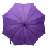 Everyday Swirl Stick Umbrella Plum