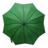 Everyday Swirl Stick Umbrella Forrest Green