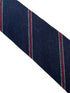 navy and red club striped school style cotton tie