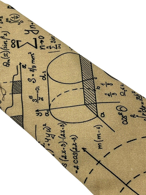 Beige cream gold with maths equations algebra Einstein tie