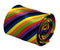 Multicoloured rainbow stripe tie