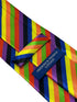 Multicoloured rainbow stripe tie