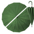 Everyday Classic Colour change Forest Green