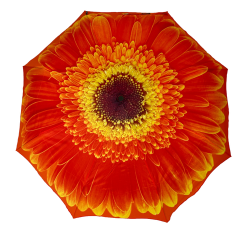 StormKing Folding Floral Umbrella Orange Daisy