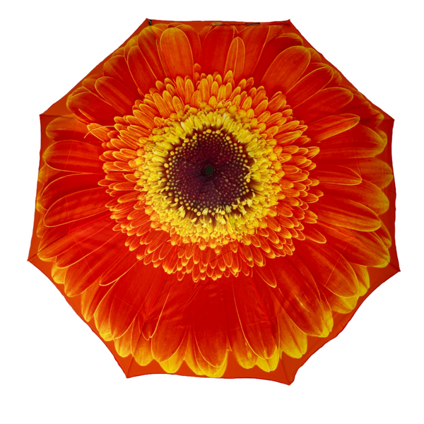 StormKing Folding Floral Umbrella Orange Daisy