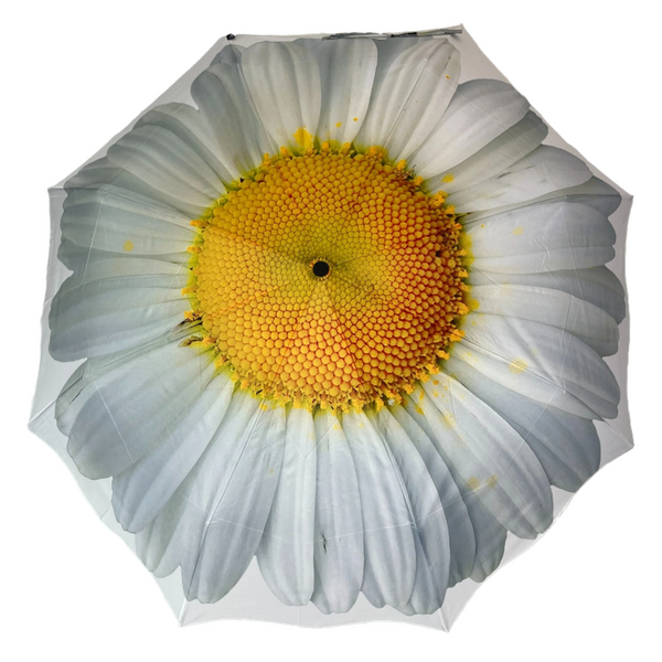 StormKing Folding Floral Umbrella White Daisy
