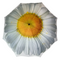 StormKing Folding Floral Umbrella White Daisy