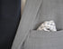 navy patterned four corner silk pocket square with navy edging