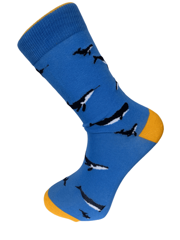 light blue with whale design men's socks