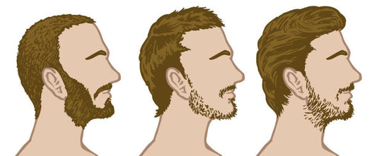 haircuts-illustrations